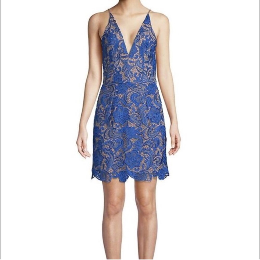 Dress the Population Ava blue lace dress